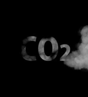 פליטות CO2